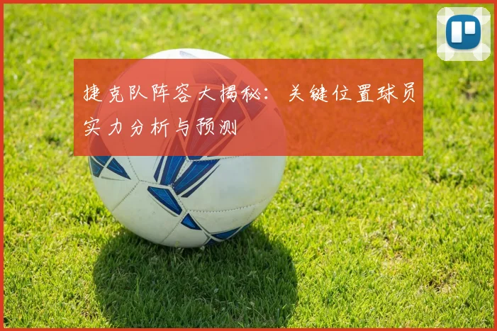 捷克队阵容大揭秘：关键位置球员实力分析与预测