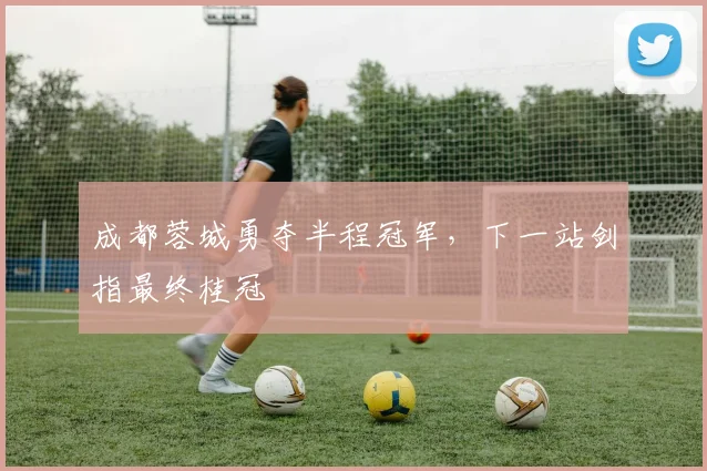成都蓉城勇夺半程冠军,下一站剑指最终桂冠